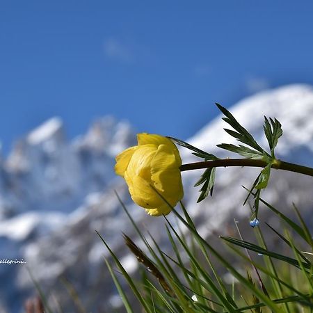 Albergo Ombrettola Falcade Buitenkant foto